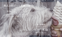 テンプレート名刺【dog photo-d008-zdk-zy】