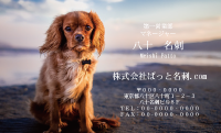 テンプレート名刺【dog photo-d009-ly-zy】