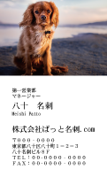 テンプレート名刺【dog photo-d009-zdk-zy】