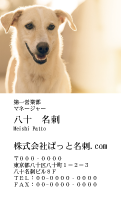 テンプレート名刺【dog photo-d010-zdk-zy】