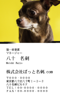 テンプレート名刺【dog photo-d014-zdk-zy】