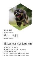テンプレート名刺【dog photo-d015-zdk-zy】