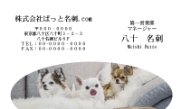 テンプレート名刺【dog photo-d019-zdk-zy】