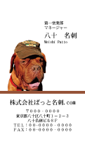 テンプレート名刺【dog photo-d020-zdk-zy】