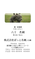 テンプレート名刺【dog photo-d023-zdk-zy】