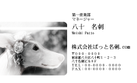 テンプレート名刺【dog photo-d024-zdk-zy】
