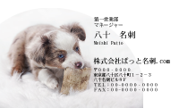 テンプレート名刺【dog photo-d025-zdk-zy】