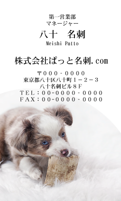 テンプレート名刺【dog photo-d025-zdk-zy】