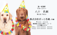 テンプレート名刺【dog photo-d026-zy】
