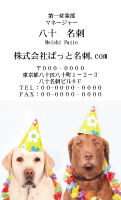 テンプレート名刺【dog photo-d026-zy】
