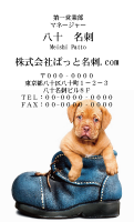 テンプレート名刺【dog photo-d028-zy】