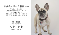 テンプレート名刺【dog photo-d029-zy】