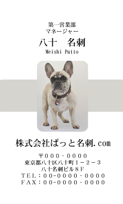 テンプレート名刺【dog photo-d029-zy】