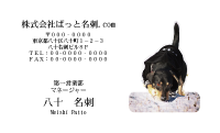 テンプレート名刺【dog photo-d030-zy】