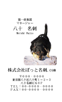テンプレート名刺【dog photo-d030-zy】