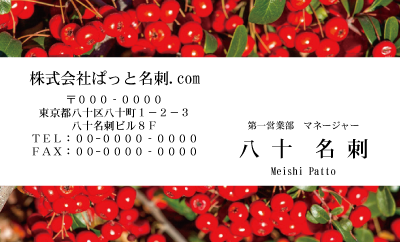 テンプレート名刺【Vegetable&Fruit-d009-zdk-zy】