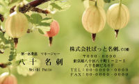 テンプレート名刺【Vegetable&Fruit-d011-zdk-zy】