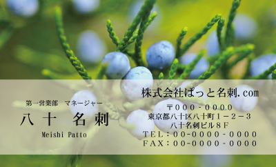 テンプレート名刺【Vegetable&Fruit-d013-zdk-zy】