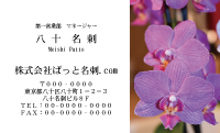 テンプレート名刺【plant-phalaenopsi photo-d004-ly-zy】