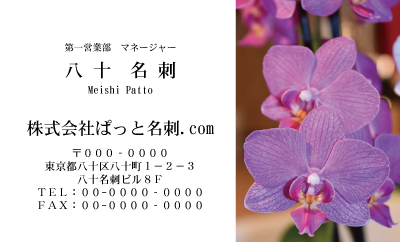 テンプレート名刺【plant-phalaenopsi photo-d004-ly-zy】