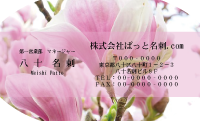 テンプレート名刺【plant-magnolia photo-d003-ly-zy】