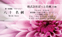 テンプレート名刺【plant-chrysanthem photo-d001-zdk】