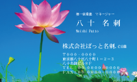 テンプレート名刺【plant-Lotus photo-d001-zdk】