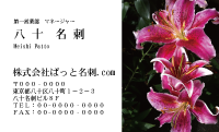 テンプレート名刺【plant-Lily photo-d002-zdk】