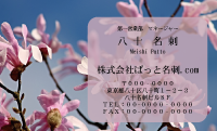 テンプレート名刺【plant-magnolia photo-d005-ly-zy】