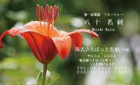 テンプレート名刺【plant-Lily photo-d006-zdk】