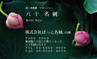テンプレート名刺【plant-Lotus photo-d002-zdk】