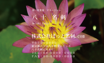 テンプレート名刺【plant-Lotus photo-d003-zdk】