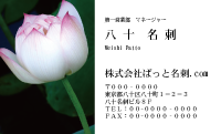 テンプレート名刺【plant-Lotus photo-d006-zdk】