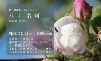 テンプレート名刺【plant-Begonia photo-d005-ly-zdk】