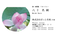 テンプレート名刺【plant-Lotus photo-d007-zdk】