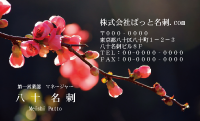 テンプレート名刺【plant-Begonia photo-d007-ly-zdk】