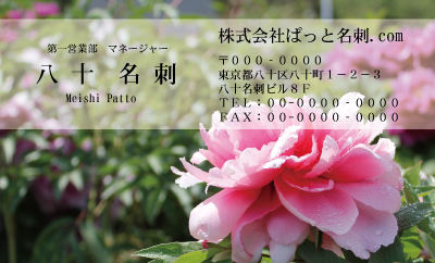 テンプレート名刺【plant-peony photo-d002-ly-zdk】