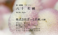 テンプレート名刺【plant-chrysanthem photo-d006-zdk】