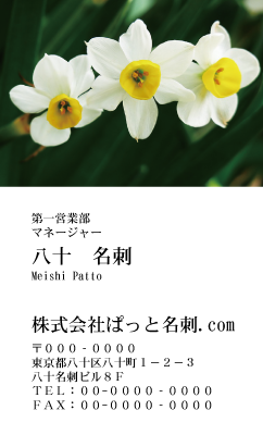 テンプレート名刺【plant-daffodil photo-d002-zdk】