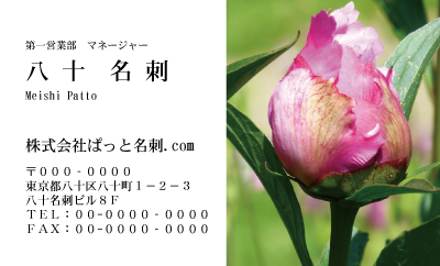 テンプレート名刺【plant-peony photo-d006-ly-zdk】