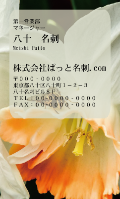 テンプレート名刺【plant-daffodil photo-d003-zdk】