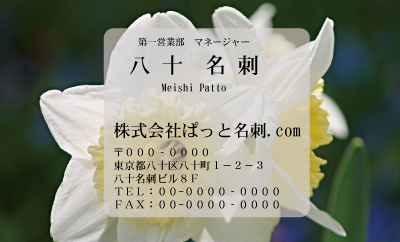 テンプレート名刺【plant-daffodil photo-d005-zdk】