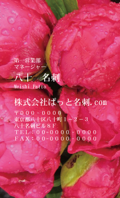 テンプレート名刺【plant-peony photo-d008-ly-zdk】