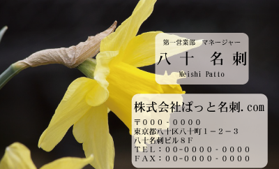 テンプレート名刺【plant-daffodil photo-d006-zdk】