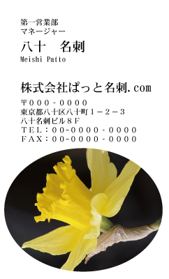 テンプレート名刺【plant-daffodil photo-d006-zdk】