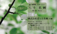 テンプレート名刺【plant-Begonia photo-d008-zdk】
