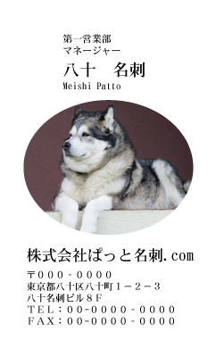 テンプレート名刺【dog photo-d031-zdk】