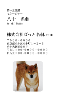 テンプレート名刺【dog photo-d033-zdk】