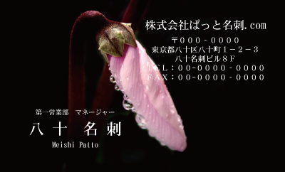 テンプレート名刺【Cyclamen photo-d003-zdk】