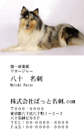 テンプレート名刺【dog photo-d041-zdk】